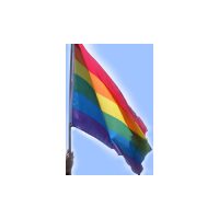 דגל גאווה 100/150ס"מ
