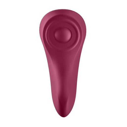 SEXY SECRET PANTY VIBRATOR